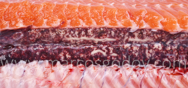 Nefrocalcinosis salmon coho II