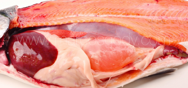 Lipidic cyst Coho salmon XIV